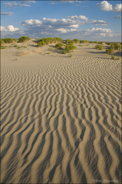 Corduroy sand patterns under a blue sky - Killpecker Sand Dunes in the northern Red Desert.